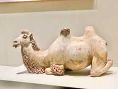 -深圳博物馆(古代艺术馆)
