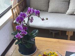 -张钰强中医正骨推拿连锁(华发商都店)