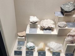 -安徽省地质博物馆