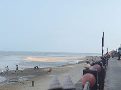 -北海金海湾红树林生态旅游区