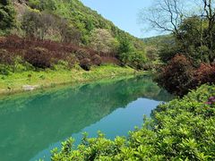 -桃花岭景区