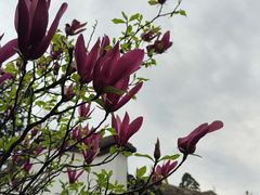-白鹿洞书院