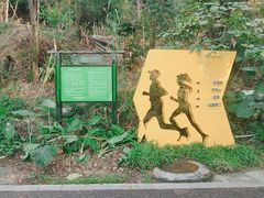 -顺峰山公园