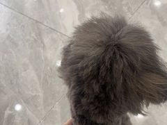 -宠颐生宠物医院·综合诊疗(先锋分院)