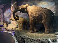 -抚顺煤矿博物馆