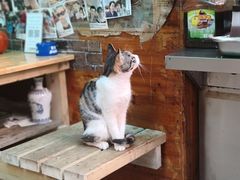 -老宅原住民沙茶面精品小吃(龙头路店)