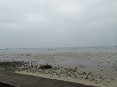 -北海金海湾红树林生态旅游区