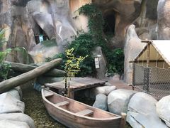 -杭州开元森泊度假乐园