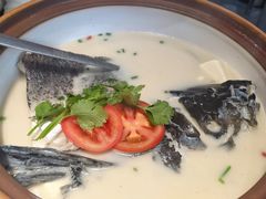 -全乐鱼馆·淳牌有机鱼直营店