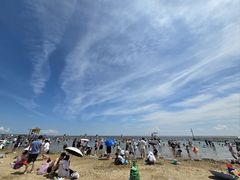 -碧海金沙