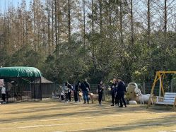 -前小桔亲子创意农场·草莓采摘·露营烧烤