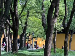 -西园寺素食(西园弄戒幢律寺店)