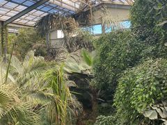 -呀路古热带植物园