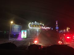 -枫花园汽车电影院(朝阳公园店)