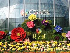 -花之城