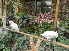 -南宫五洲植物乐园