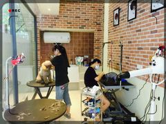 -Oh My Dog宠物沙龙(伊珊娜皮毛护理店)