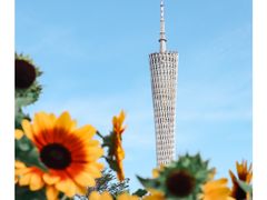 -广州塔