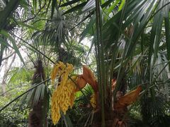 -春兰国宾馆(凤城河风景区老街店)