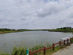 -盐城丹顶鹤湿地生态旅游区