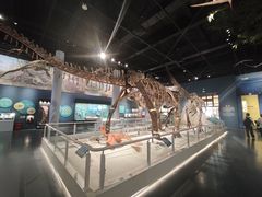 -国家自然博物馆