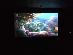 -AMG海上明珠影城(上海环球港RealDCinema店)