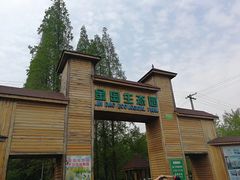 -金岛生态园烧烤露营地
