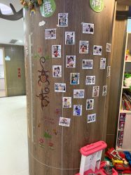 -睿宝儿科·眼科·口腔(杨浦新江湾城店)