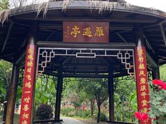 -东湖落雁景区