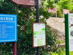 -马峦山郊野公园