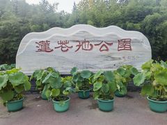-莲花池公园
