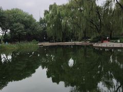 -玲珑塔公园
