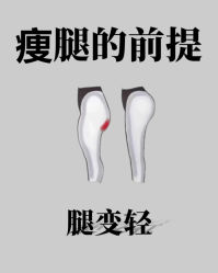 -Fundi张玉珊修身堂·indiba·BTL科技瘦身