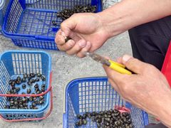 -晓琦农家菜馆·地道农家菜