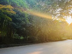 -南京市江宁方山