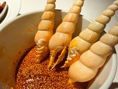-许家菜(DT51店)