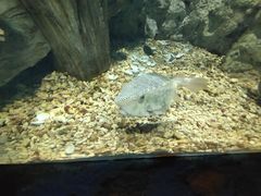 -福州罗源湾海洋世界旅游区