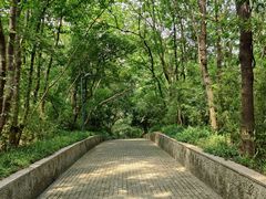 -西湖风景区-江洋畈生态公园