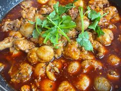 -绝城芋儿鸡(犀浦旗舰店)