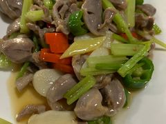 -绍兴启迪乔波冰雪世界