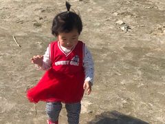 -合肥滨湖国家森林公园