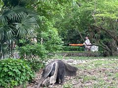 -上海野生动物园