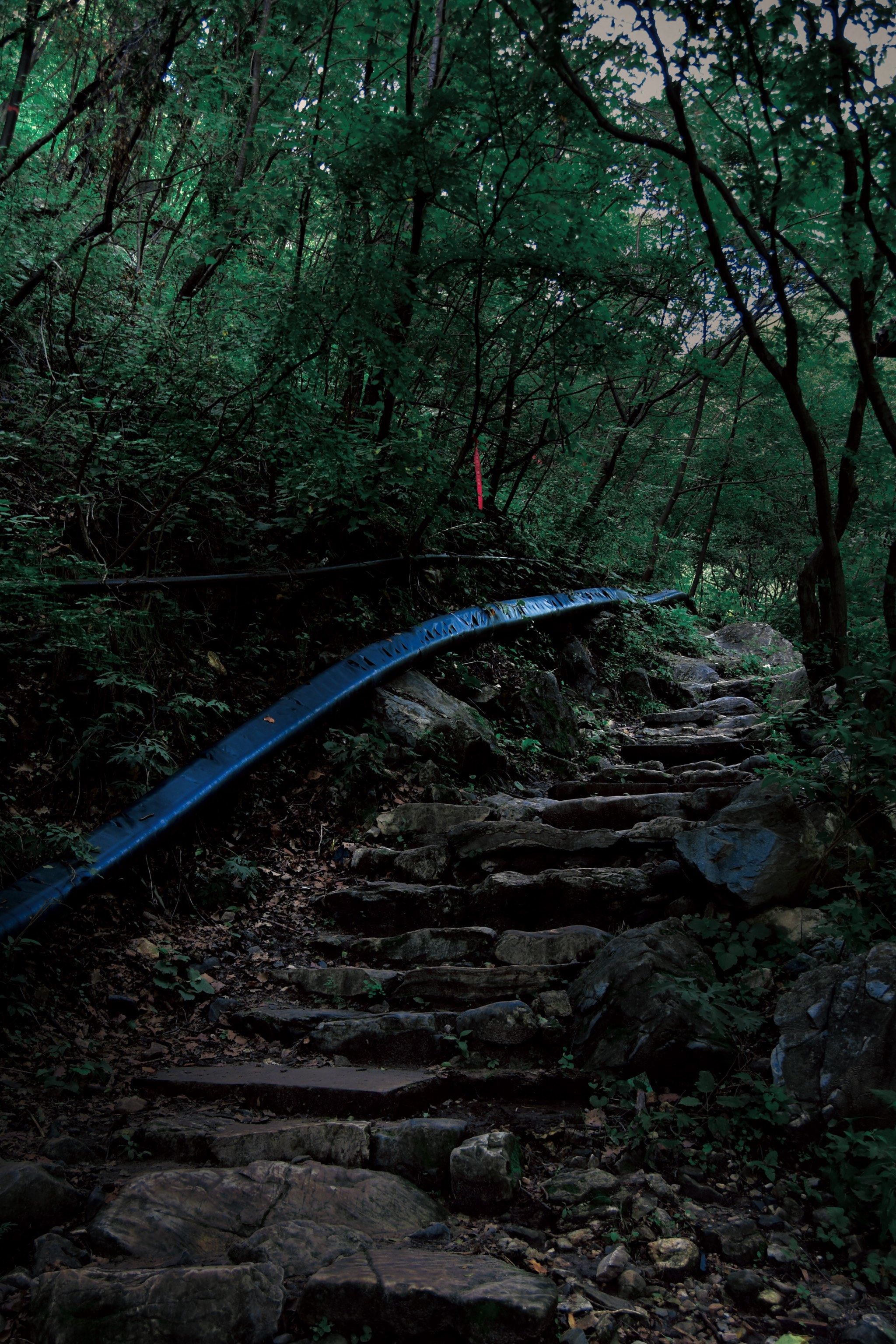 曲径通幽的山间路