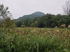 -西湖风景区-江洋畈生态公园