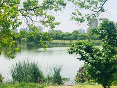 -九里河湿地公园