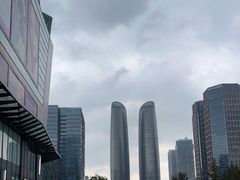 -合景·悠方(成都店)