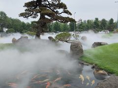 -罗红摄影艺术馆