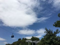 -广州市白云山风景名胜区