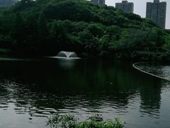 -重庆彩云湖湿地公园