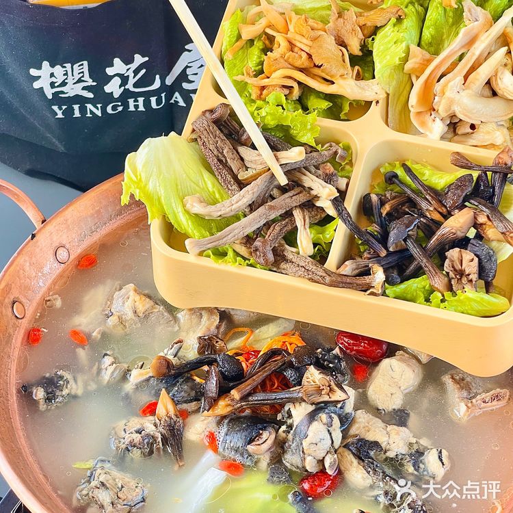 品菌菇汤🍄吃腊排骨 🦴看玉龙雪山风景🏔